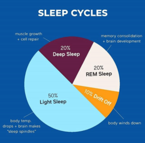 Sleep Cycles - Kinetic Rehab & Spine Bergen County